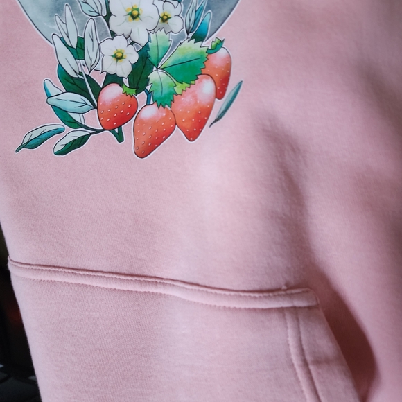 NWOT ✅️ Strawberry Sage Hoodie - Picture 8 of 10